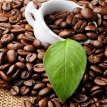 Hạt cà phê Arabica rang mộc