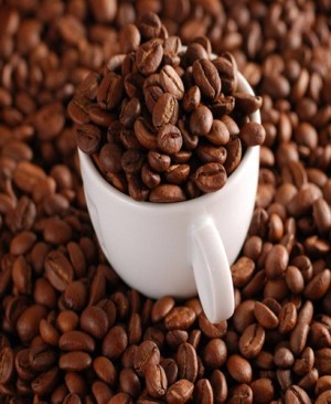 Hạt cà phê Robusta rang mộc 